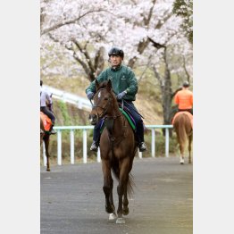 今年もディープ産駒だ
