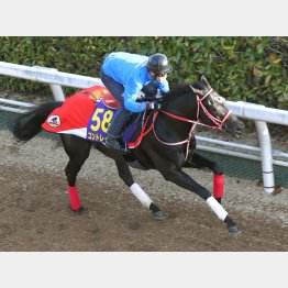 パワーアップは歴然