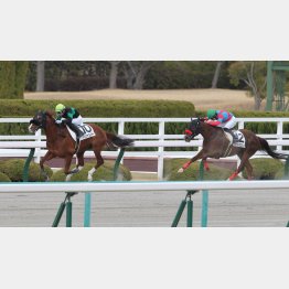 前走快勝のトップオブメジャー