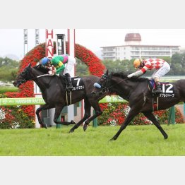 マレーシアCでも連対(右)