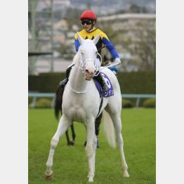 4連勝で阪神JFを制覇