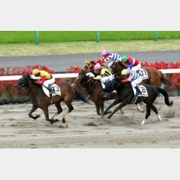 勝ち時計も優秀