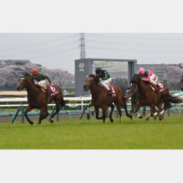 17年は上位を独占