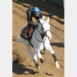 ソダシは余力十分に1馬身先着