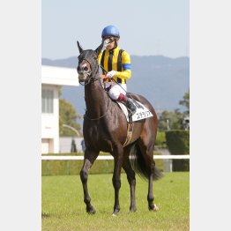 千八の未勝利を好時計勝ち