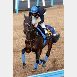手綱を取った黛は「雰囲気が良くなってる」