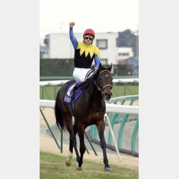 2006年、第51回有馬記念を制したディープインパクト