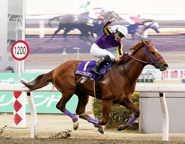 人気TOP 2 地方競馬 大井競馬のあゆみ inspektorat.madiunkota.go.id