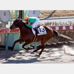 ダートで初勝利