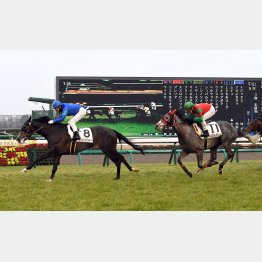中山マイルで2連勝中