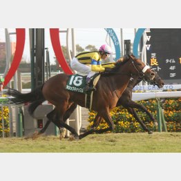 前走は過去最高の444㌔で重賞初V