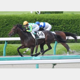 2勝級勝ちは完勝だった