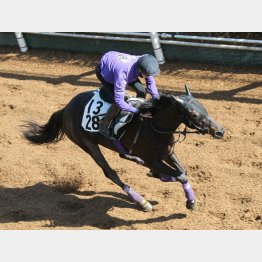 状態面も文句なし