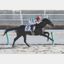 中京千九で1勝クラスを快勝
