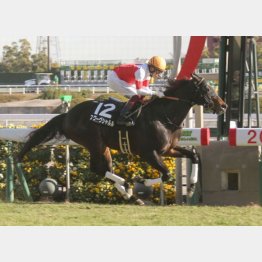 2走前は千二で完勝