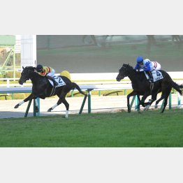 阪神では3走前に③着も