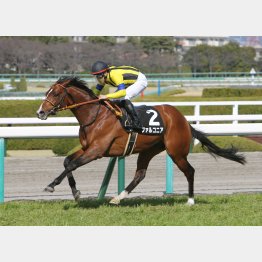 前走は2馬身差で逃げ切り