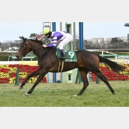 フェアリーSで重賞初制覇