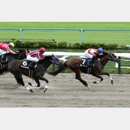 東京のテレビ静岡賞で0秒1差②着