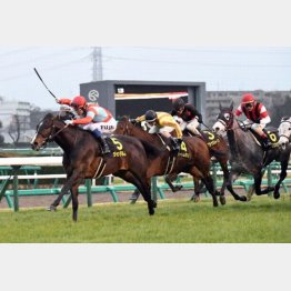中山では昨年のニューイヤーS勝ち
