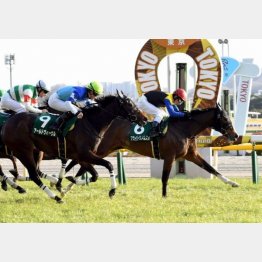 クイーンCは首差②着