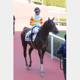 差す競馬が板についてきた