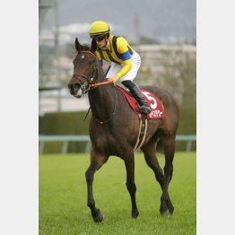 前走はメイケイエールと①着同着
