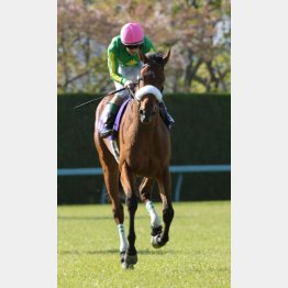 阪神JFに続いてソダシに惜敗