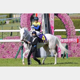 ①着ソダシ(吉田隼騎手)「直線は周りを確認する余裕があった」