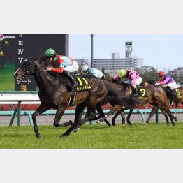 ②着に2馬身半差