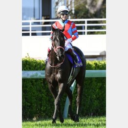 昨年はコントレイルが無敗で勝利