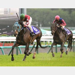 昨年は3馬身差つけた