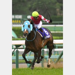 18年のこのレースは馬連130円