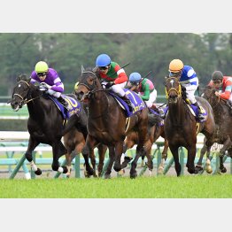 18年は先行馬で上位独占