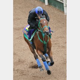 2週連続で追い切りに騎乗