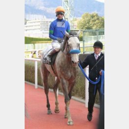 平地では2勝クラスを勝った