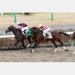 今年初戦をV
