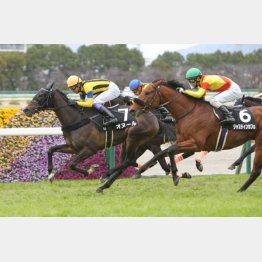前走は荒れた馬場で上がり3F32秒5をマーク