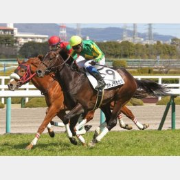 未勝利勝ち