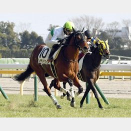 前走は完勝だった