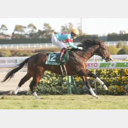 シンザン記念で重賞勝ち