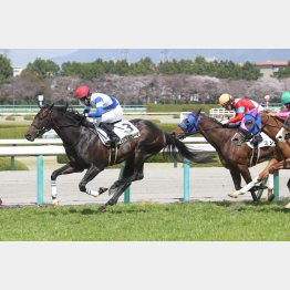 前走は完勝
