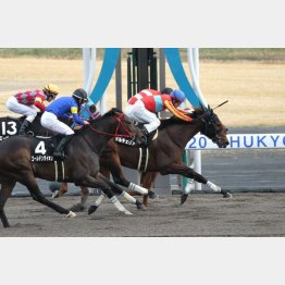 昨年の瀬戸特別は0秒1差③着