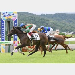 新馬以来のVを狙う