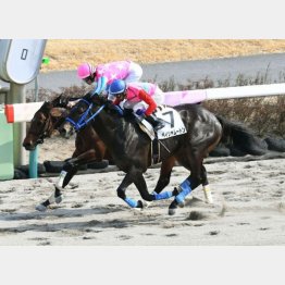 この舞台で1勝クラスを卒業