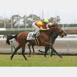 不良だった新馬戦で勝利