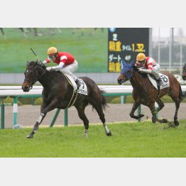 前回は完勝だった