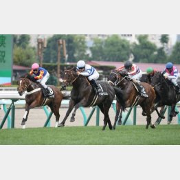 ルメールを背に阿寒湖特別勝ち