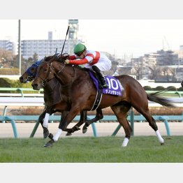 ホープフルS勝ちで2歳王者に