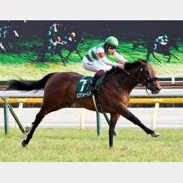 豪快に突き抜けて3連勝